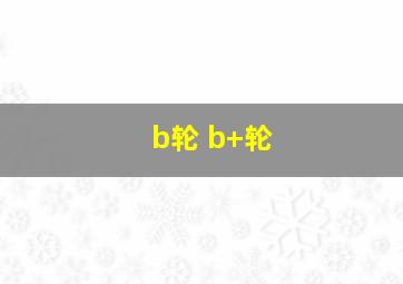 b轮 b+轮